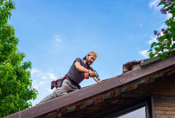 Best Roof Ventilation Installation  in Thompsons Station, TN